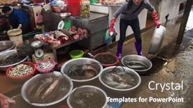  Presentation with cultural diversity - 