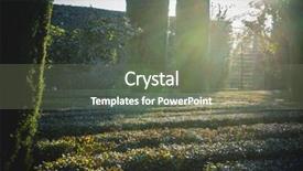  Presentation with gardens - Audience pleasing PPT theme consisting of sabatini-gardens-in-the-royal backdrop and a gray colored foreground