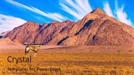  Presentation with south africa - PPT layouts consisting of sabers - namibia south africa sunset background and a red colored foreground