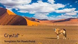  Presentation with world tourism - Amazing presentation having sabers - travel to namibia south africa backdrop and a gold colored foreground