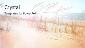  Presentation with wind - Beautiful slide deck featuring sable - beach grass blowing backdrop and a cool aqua colored foreground