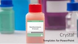  Presentation with fungus - Slide set featuring saccharomyces-uvarum-fungus-used background and a light gray colored foreground