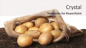  Presentation with soil - Audience pleasing PPT layouts consisting of sack of fresh raw potatoes backdrop and a  colored foreground
