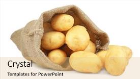  Presentation with potato - Slide deck with sack with potatoes on white background and a yellow colored foreground