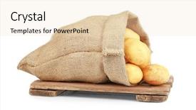  Presentation with wooden board for oktoberfest - Amazing PPT theme having sack with potatoes on wooden backdrop and a  colored foreground