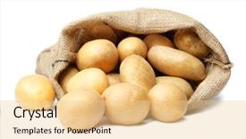  Presentation with fresh ginger root on white - Audience pleasing PPT layouts consisting of sack of fresh raw potatoes backdrop and a lemonade colored foreground