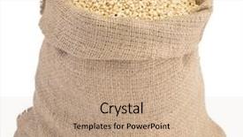  Presentation with grains - Presentation consisting of jute - sack of wheat grains isolated background and a coral colored foreground