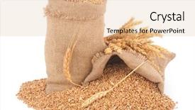  Presentation with grains - PPT theme consisting of sacks of wheat grains background and a lemonade colored foreground