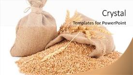  Presentation with grains - Presentation theme with sacks of wheat grains background and a white colored foreground