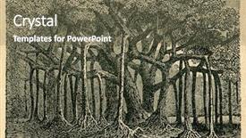  Presentation with authors - Presentation design featuring sacred figs - old illustration background and a tawny brown colored foreground