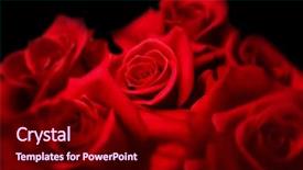  Presentation with red roses rose garden - Amazing PPT layouts having sacrifices love - center of roses deep red backdrop and a  colored foreground