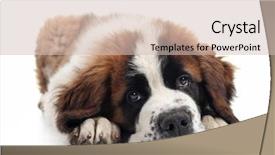  Presentation with saint - Presentation theme having salesman speaking with customers on couch at home background and a light gray colored foreground