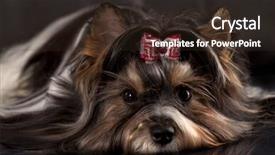  Presentation with yorkshire moor - PPT theme featuring rain forest national park kanchanaburi background and a wine colored foreground.