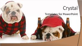  Presentation with sad dog abandoned dogs - Beautiful PPT theme featuring sad puppy - drunk dogs - two english backdrop and a white colored foreground