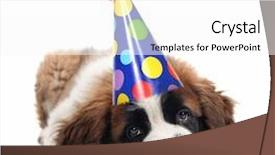  Presentation with saint - Theme featuring sad puppy - mopey saint bernard wearing background and a white colored foreground