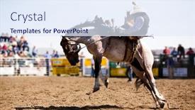  Presentation with rodeo - 