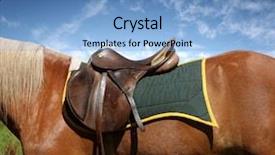  Presentation with horse - Colorful PPT theme enhanced with saddle on the horse backdrop and a light blue colored foreground