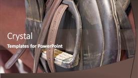  Presentation with horse - Cool new PPT theme with saddle-with-stirrups backdrop and a violet colored foreground