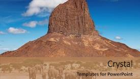  Presentation with savanna - PPT theme with safari - herd elephants african savanna background and a coral colored foreground