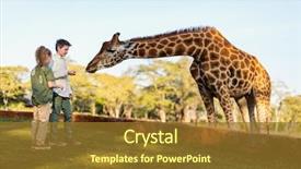  Presentation with sister - Colorful PPT theme enhanced with safari - kids brother sister feeding giraffes backdrop and a tawny brown colored foreground
