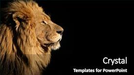  Presentation with africa - Cool new slides with safari - side portrait male backdrop and a black colored foreground