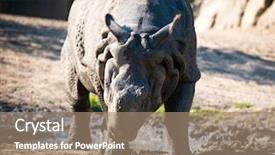  Presentation with safari - Colorful slides enhanced with safari cartoon - large rhino in the park backdrop and a coral colored foreground
