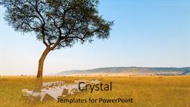  Presentation with kenya - Slide deck featuring journey game - luxury bush breakfast in masai background and a light blue colored foreground