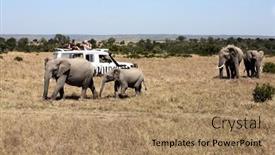  Presentation with africa safari - 