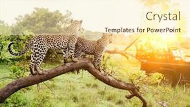  Presentation with africa safari - Audience pleasing presentation theme consisting of safari-in-africa-with-two backdrop and a cream colored foreground