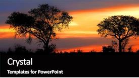  Presentation with safari - Colorful PPT theme enhanced with down a road at sunset backdrop and a wine colored foreground