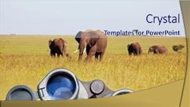  Presentation with africa safari - PPT theme featuring safari background and a sky blue colored foreground