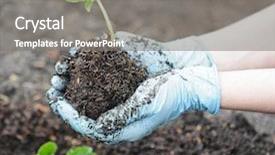  Presentation with spring - Audience pleasing slide deck consisting of safety agricultue - garden work - spring planting backdrop and a gray colored foreground