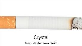  Presentation with isolated paw prints over white - Theme consisting of safety cigarettes - burning cigarette isolated over white background and a white colored foreground