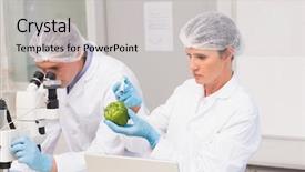  Presentation with pepper - PPT theme having safety lab - scientists examining green pepper background and a light gray colored foreground