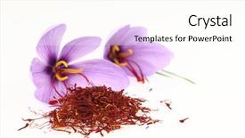  Presentation with saffron - Theme featuring dried saffron spice and saffron background and a pink colored foreground