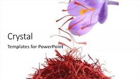  Presentation with saffron - PPT theme with dried saffron spice isolated background and a white colored foreground