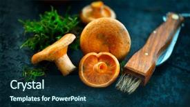  Presentation with saffron - PPT layouts enhanced with forest restaurant - raw wild saffron milk cap background and a navy blue colored foreground