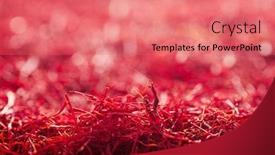  Presentation with saffron - Colorful presentation enhanced with saffron threads background truly color huge amount of spice soft focus backdrop and a coral colored foreground