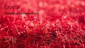  Presentation with saffron - Slide deck having saffron-threads-background-truly-color background and a red colored foreground