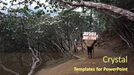  Presentation with everest - PPT theme with sagarmatha-national-park-nepal background and a tawny brown colored foreground