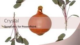  Presentation with sage - PPT theme enhanced with sage herb leaf sprigs forming an abstract border with a spanish onion in the center over white background background and a coral colored foreground