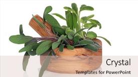  Presentation with olive leaf - Presentation theme having sage herb leaf varieties of purple green and variegated in an olive wood mortar with pestle over white background background and a lemonade colored foreground