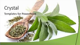  Presentation with sage - Slides enhanced with sage leaves fresh and dry background and a sky blue colored foreground