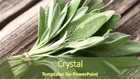  Presentation with sage - Presentation design featuring sage on a wooden background background and a tawny brown colored foreground