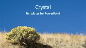  Presentation with country - Theme with sagebrush - desert country background and a  colored foreground