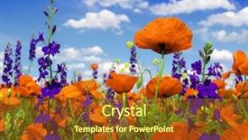  Presentation with poppies - Cool new PPT layouts with sagebrush - poppies blooming in the wild backdrop and a tawny brown colored foreground