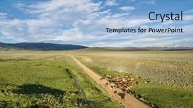  Presentation with ranch - PPT theme having sagebrush - ranch road and cattle near background and a light blue colored foreground