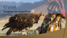  Presentation with hunting - 