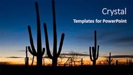  Presentation with saguaro - Slide set consisting of saguaro-cacti-at-sunset background and a navy blue colored foreground