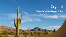  Presentation with saguaro - Presentation enhanced with saguaro-cactus-in-organ-pipe background and a teal colored foreground